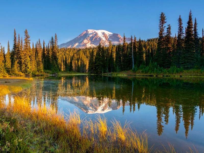 總磷去除的影響因素