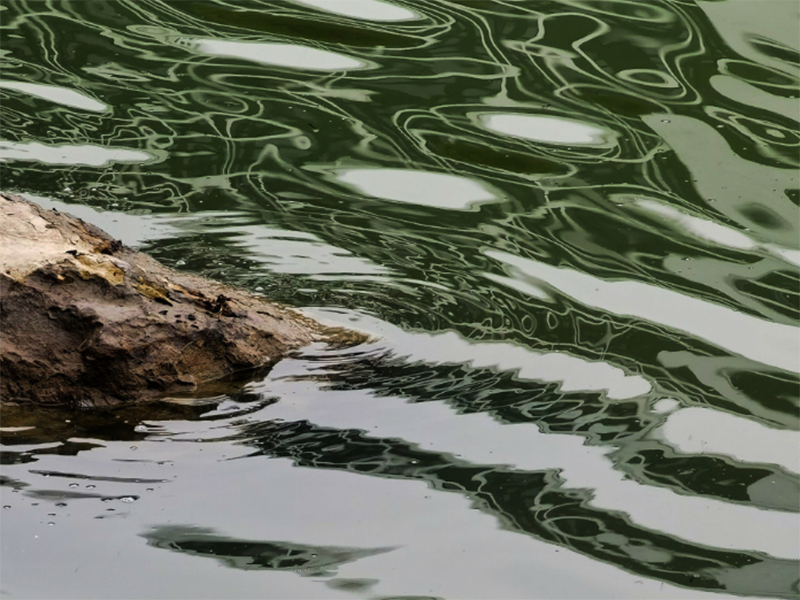 溶解氧是什么意思