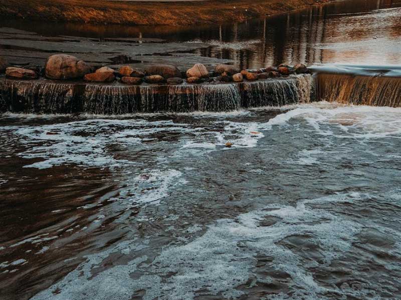水質(zhì)總大腸菌群分類
