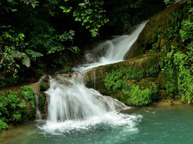 COD快速測(cè)定儀維修與保養(yǎng)步驟