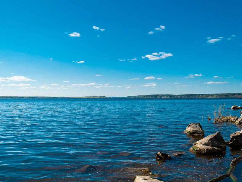 便攜式COD檢測(cè)儀需要試劑嗎