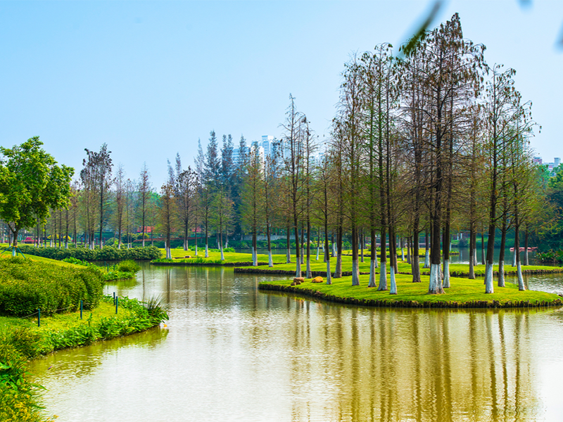 BOD測定儀的校準規(guī)程