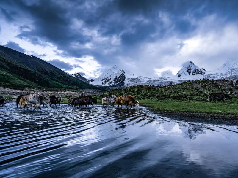 氨氮快速測(cè)定儀檢出9999是什么原因