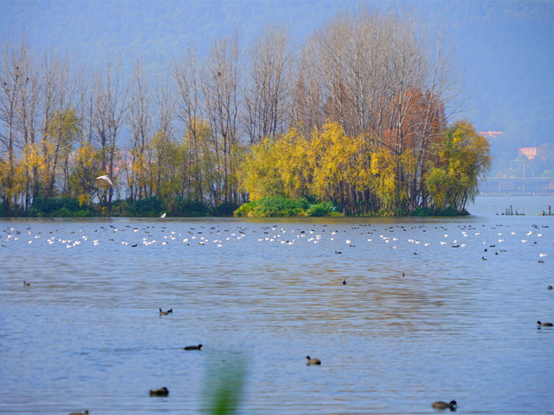 總氮超標(biāo)的原因