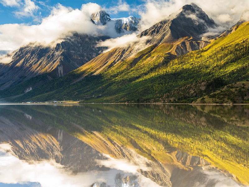 手持總磷測(cè)定儀工作流程