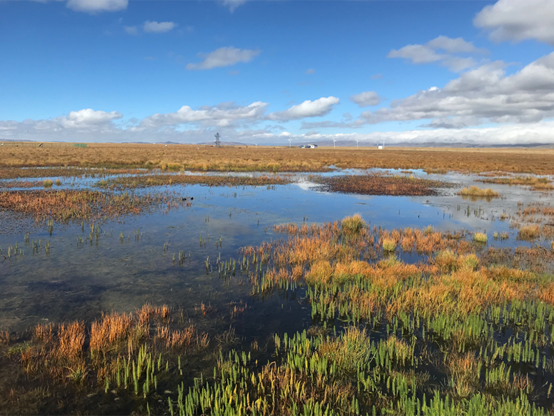 水質(zhì)微型站技術(shù)要求