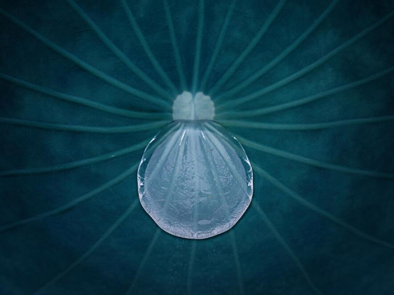 生活飲用水水質(zhì)檢測(cè)有哪些細(xì)節(jié)