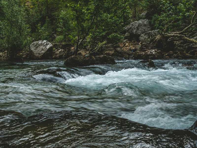 水質(zhì)生物毒性檢測儀優(yōu)勢與局限