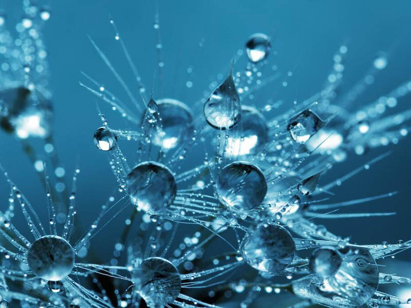 COD快速測(cè)定儀檢測(cè)原理步驟