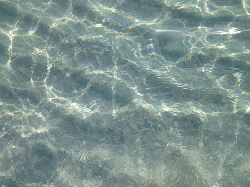 發(fā)光細菌檢測生物毒性的步驟