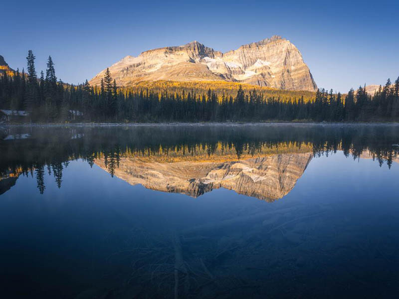BOD測(cè)定儀校準(zhǔn)規(guī)范
