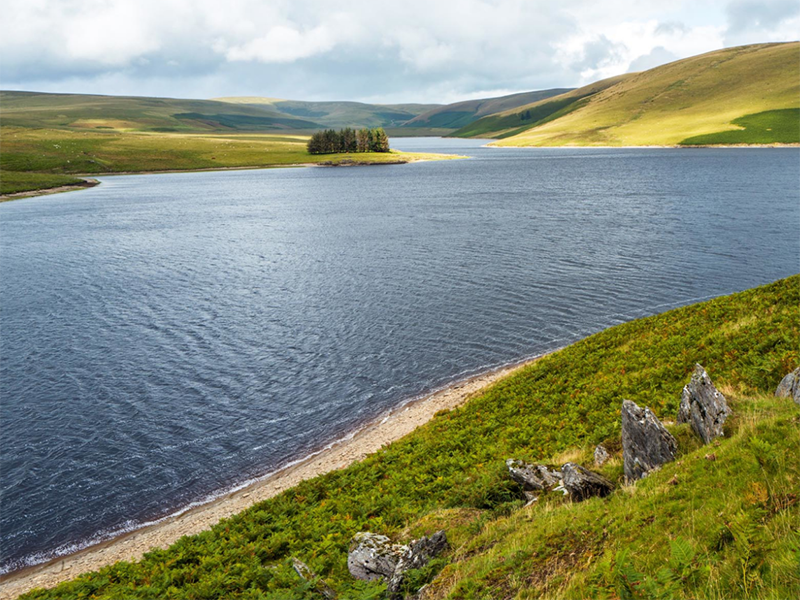 水質(zhì)溶解氧檢測儀選型要點(diǎn)