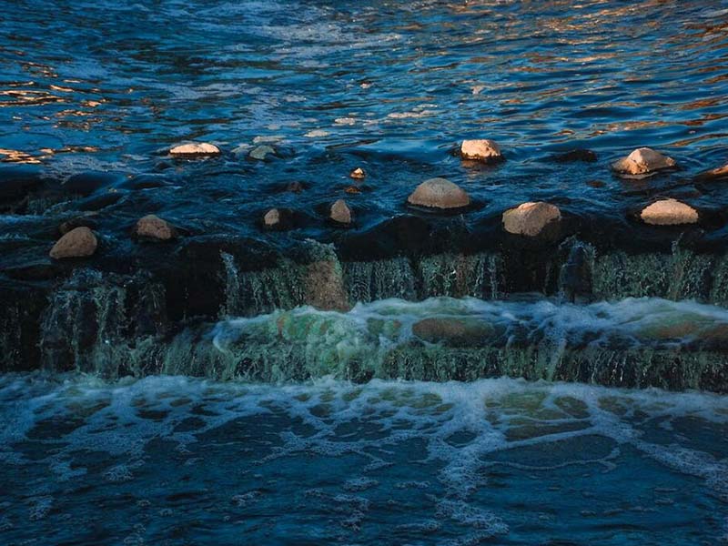 水質(zhì)檢測常用的發(fā)光細菌有哪些