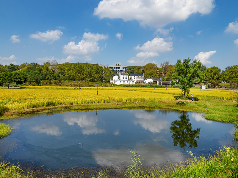 污水檢測氨氮為什么高于總氮