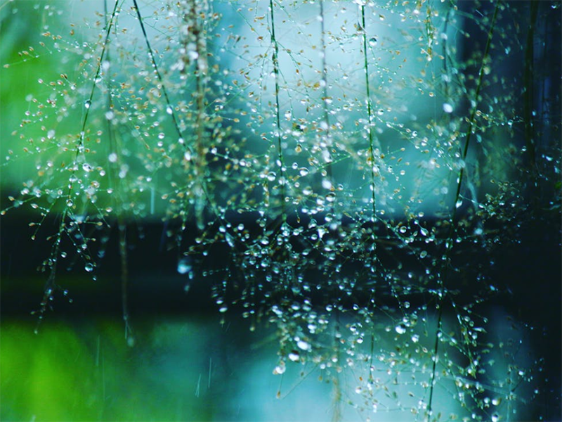 雨天能進行廢水采樣嗎
