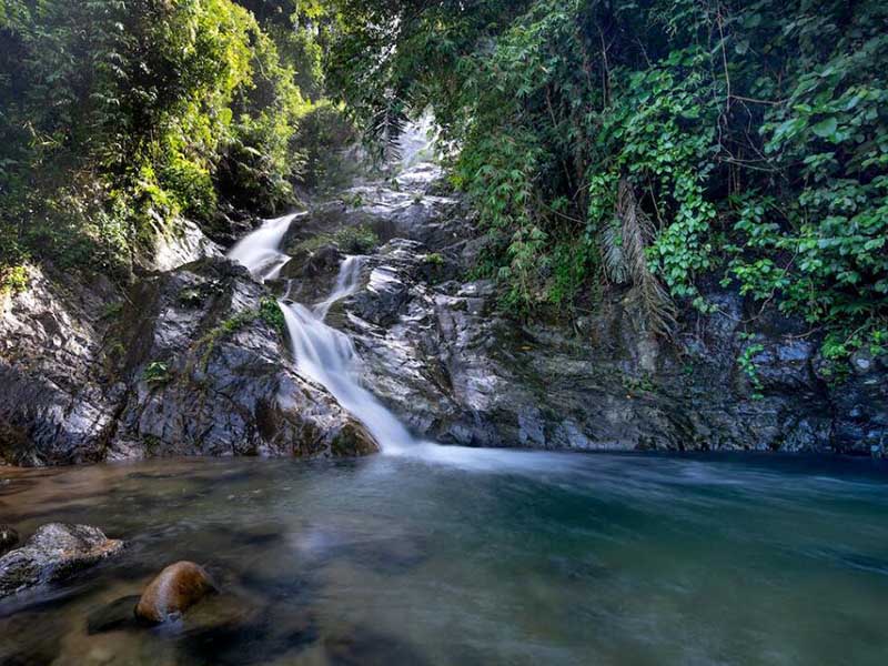 池塘氨氮的來源