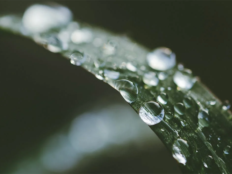 飲用水總銅檢測(cè)與標(biāo)準(zhǔn)