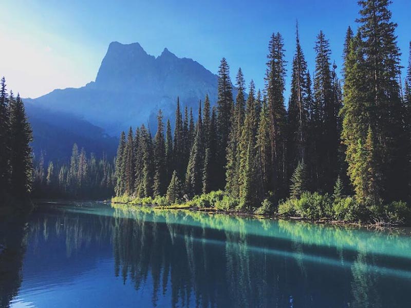 氨氮水質(zhì)在線自動(dòng)監(jiān)測(cè)儀說(shuō)明書(shū)