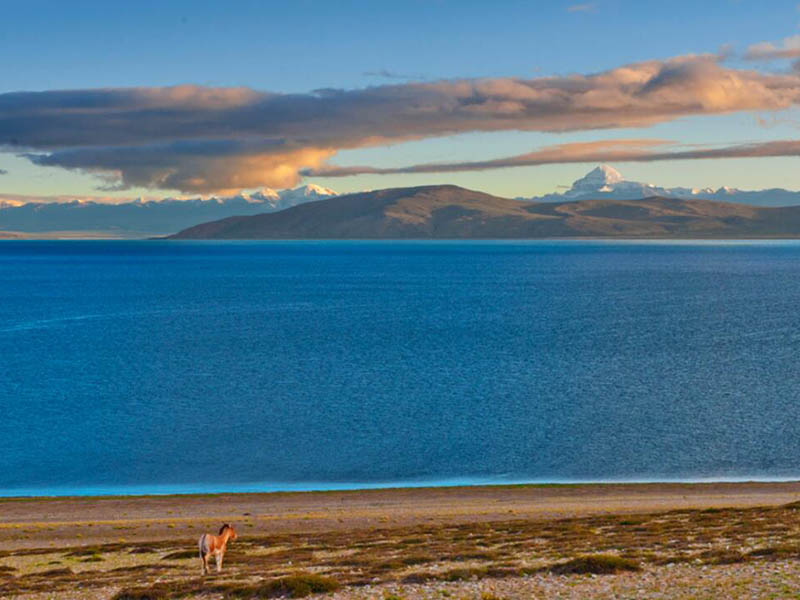 BOD快速測(cè)定儀調(diào)試檢查內(nèi)容