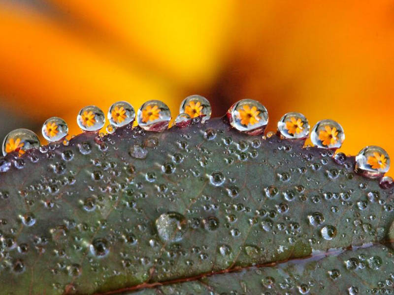 水質(zhì)色度測定儀不準(zhǔn)確如何校正