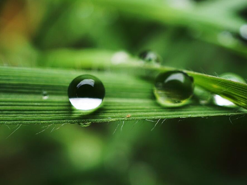 水質(zhì)檢測的基本要求