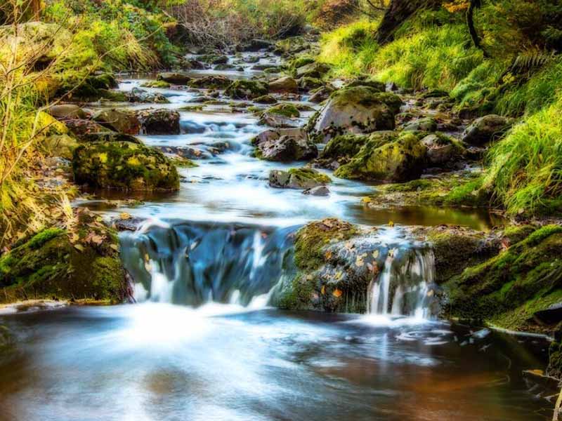 水質(zhì)硝酸鹽氮檢測(cè)儀主流類(lèi)型