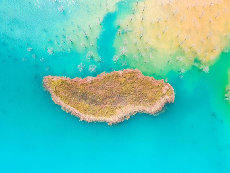 水質(zhì)色度測(cè)定儀功能特點(diǎn)