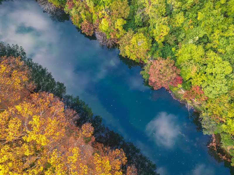 氨氮快速測定儀的精度是多少