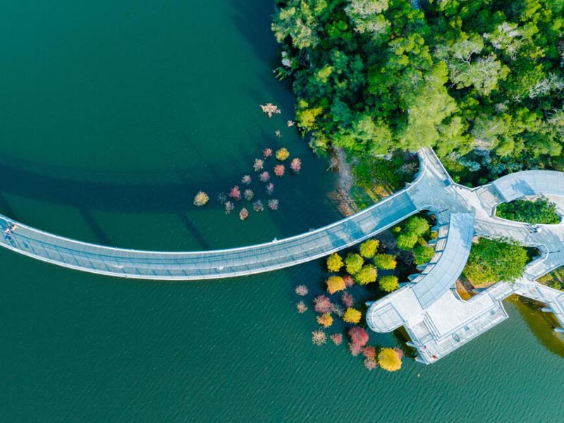 氨氮超標如何處理