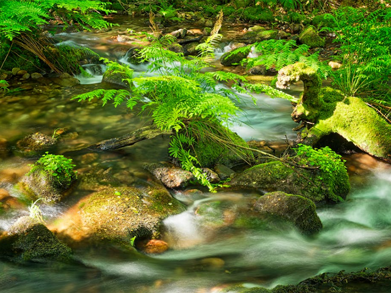 【匯總】生活飲用水常用檢測(cè)項(xiàng)目及標(biāo)準(zhǔn)