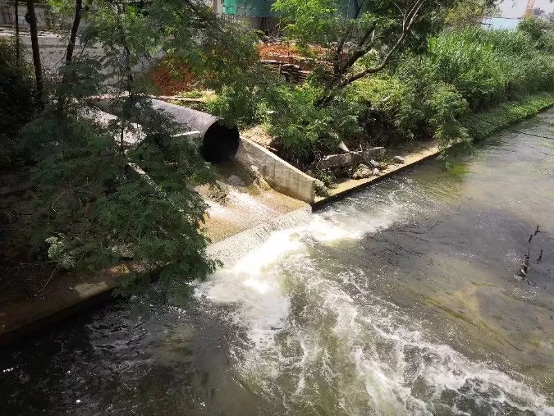 水中的污泥濃度對養(yǎng)殖有怎樣的影響