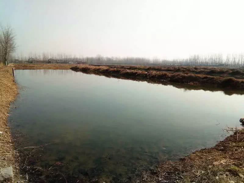 檢測蝦塘水質(zhì)中的溶解氧，需要哪款設(shè)備