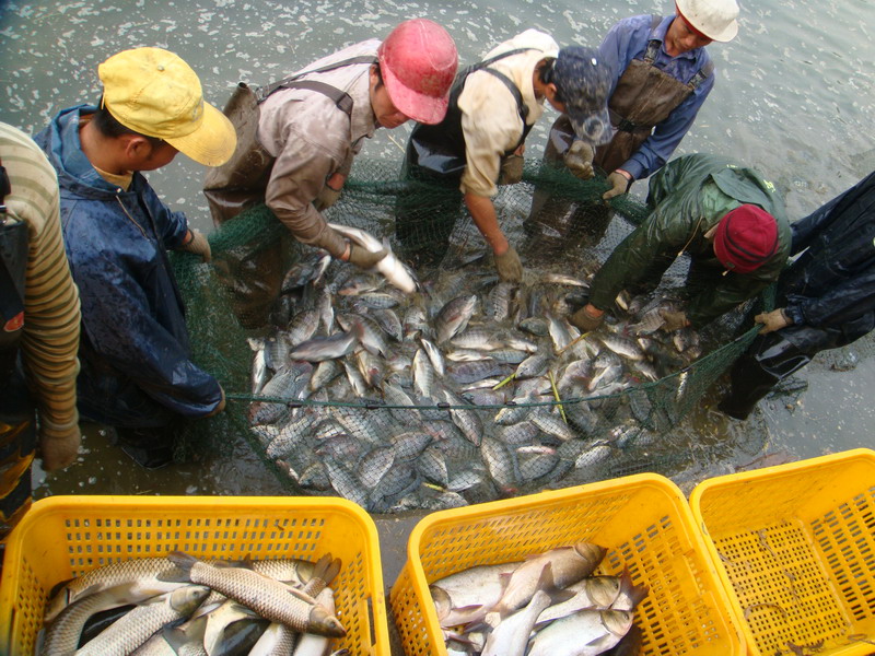 水質(zhì)的檢測(cè)對(duì)水產(chǎn)養(yǎng)殖重要嗎 水質(zhì)的檢測(cè)對(duì)水產(chǎn)養(yǎng)殖重要嗎