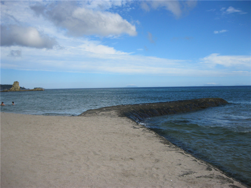 霍爾德生物毒性分析儀，對海水進行檢測