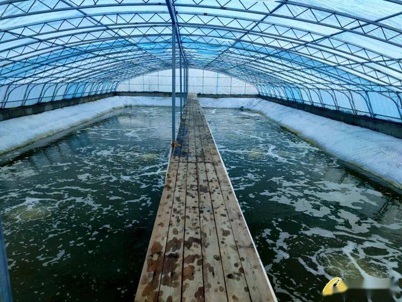 水質(zhì)中的生物毒性怎么檢測