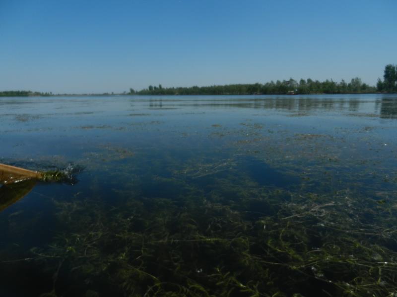 手持水質檢測儀檢測速度快、現(xiàn)場讀取數(shù)據(jù)